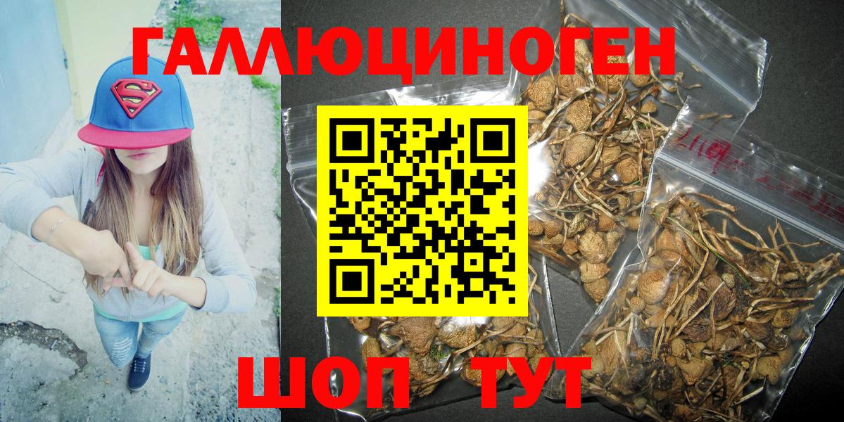 Псилоцибиновые грибы мухоморы Грязи