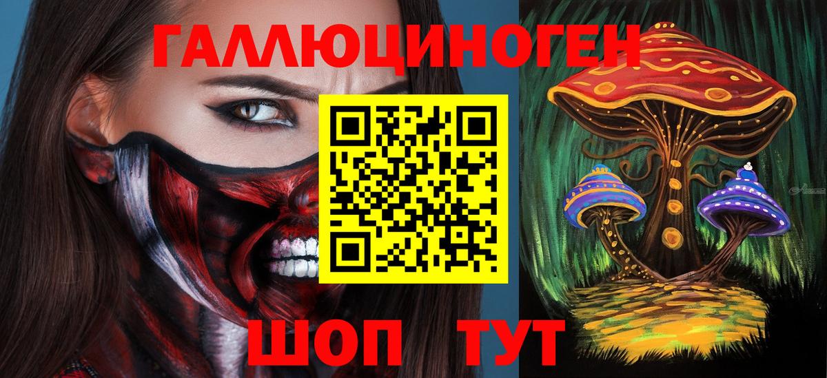 Грязи  Псилоцибиновые грибы GOLDEN TEACHER  Вход с VPN 
