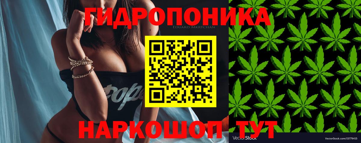 Каннабис индика  Шишки марихуана MAZAR  МАРИХУАНА семена  Вход с VPN  Грязи  Бошки Шишки конопля 